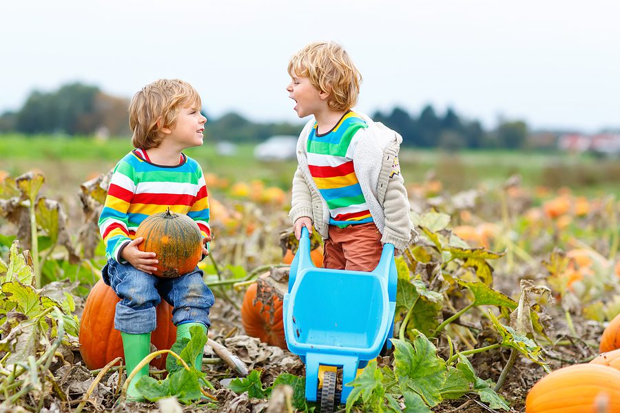 two kids playing in a pumpkin patch